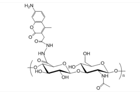 Hyaluronic Acid AMCA