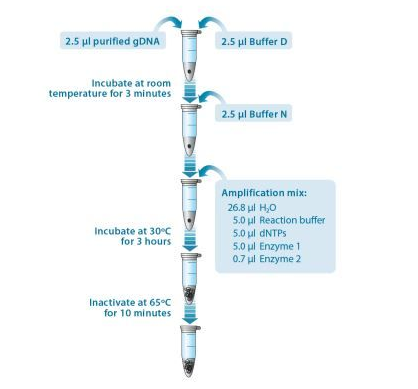 4BB™ TruePrime® Whole Genome Amplification (WGA) Kit