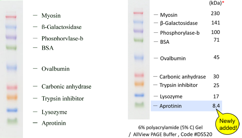 Protein MultiColor Marker