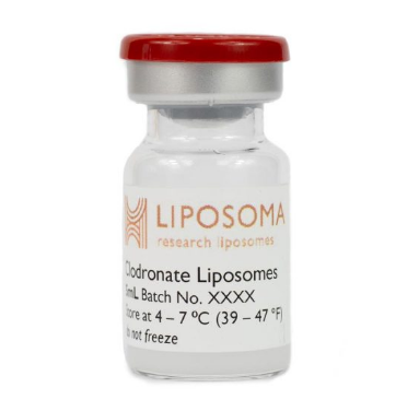 氯膦酸盐脂质体Clodronate Liposomes