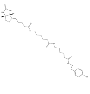 Biotin-XX Tyramide Reagent生物素-XX酪胺试剂