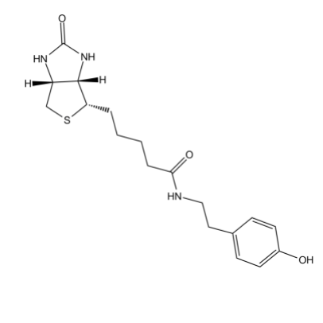 生物素-酪酰胺（Biotin-tyramide）