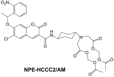 vitalquan ：NPE-HCCC2/AM