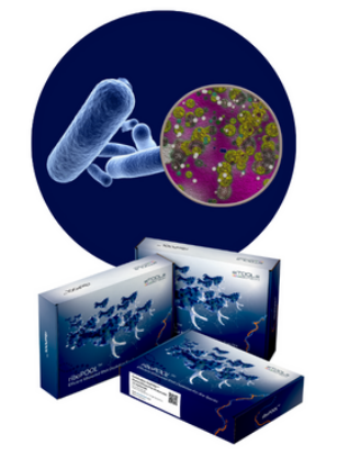 Human rRNA-tRNA Ribo-Seq riboPOOL 12rxn kit