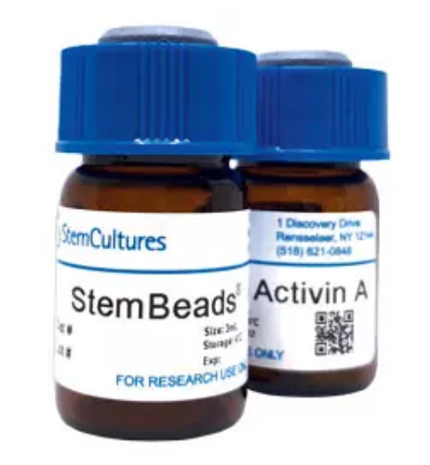 StemBeads Activin-A