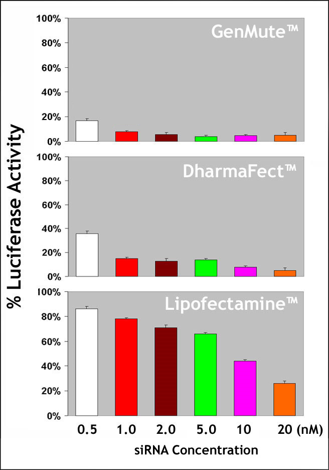 GenMute™ siRNA Transfection Reagent