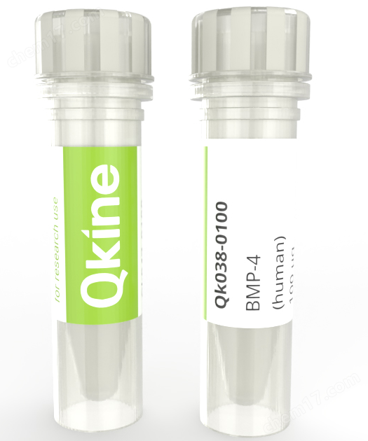 Recombinant human BMP-4 protein