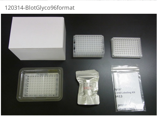 BlotGlyco® Glycan Purification and Labeling Kit