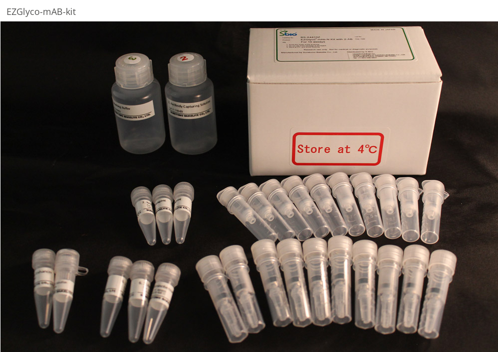 s-bio:EZGlyco™ mAb-N Kit with 2-AB