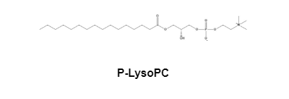 药用辅料:P-LysoPC