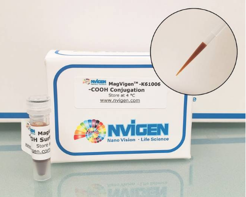 MagVigen™ – COOH Surface Conjugation