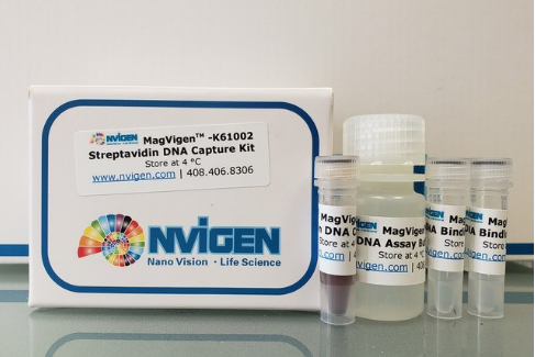 MagVigen™ – Streptavidin DNA Capture