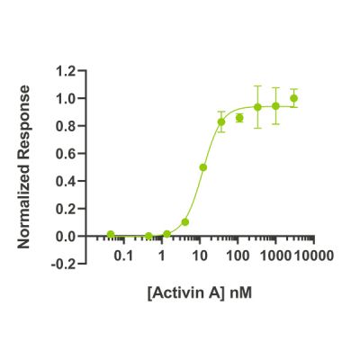 人 Activin Qk001 蛋白生物活性批号 #011