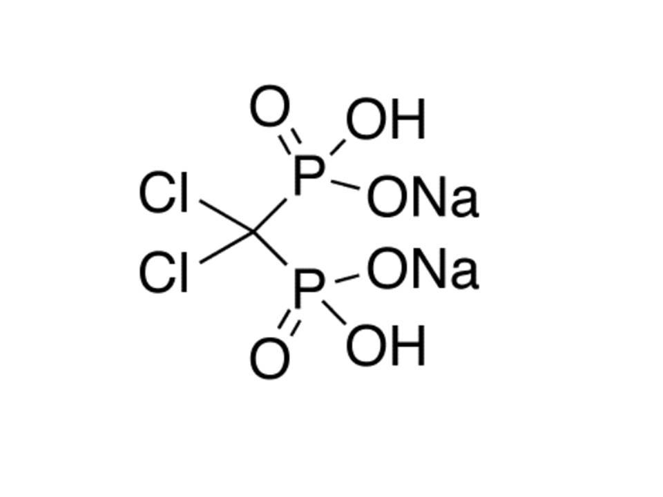 高效氯磷定-氯膦酸盐脂质体（中性)High Potency Clophosome®- Clodronate Liposomes