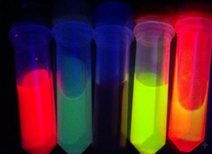 DOPC/CHOL Liposomes labeled with Fluorescein DHPE