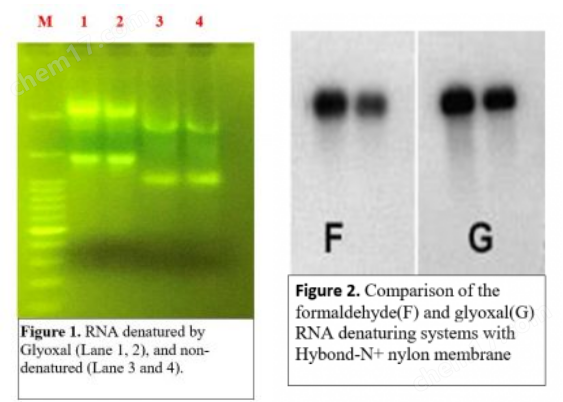 40%去离子乙二醛溶液 Deionized Glyoxal Solution