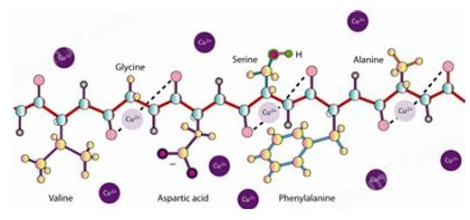 NI™ (Non-Interfering™) Protein Assay含白蛋白标准品的NI（非干扰）蛋白检测试剂盒