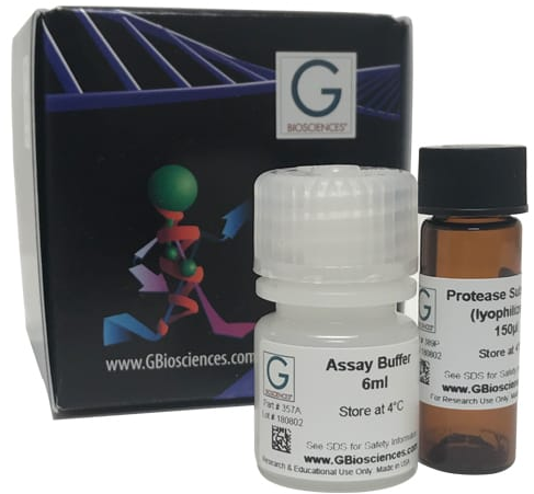 蛋白酶检测试剂盒（Protease Assay Kit）