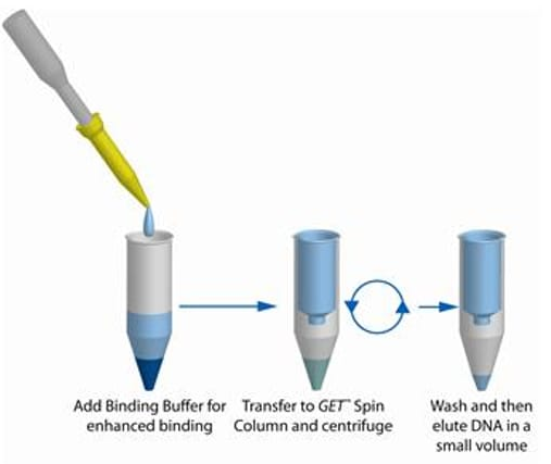 GET™ CLEAN DNA(GET™清洁DNA试剂盒)