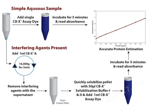 CB-X蛋白质分析试剂 CB-X™ Protein Assay