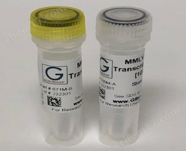 反转录酶(Reverse Transcriptase)