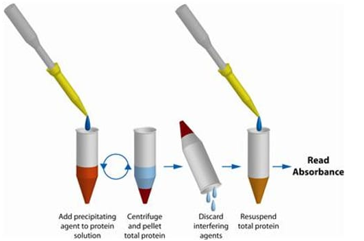 NI™ (Non-Interfering™) Protein Assay含白蛋白标准品的NI（非干扰）蛋白检测试剂盒