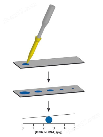 核酸检测分析试剂盒 NUCLEIC dotMETRIC™ Assay