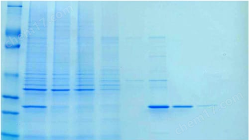 HOOK 6X His蛋白质离心纯化(酵母)(HOOK™ 6X His Protein Spin Purification (Yeast))