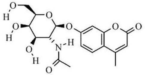 酶底物（4-Methylumbelliferyl-N-acetyl-beta-D-galactosaminide)