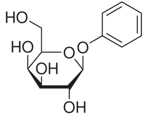 Phenyl-beta-D-galactopyranoside