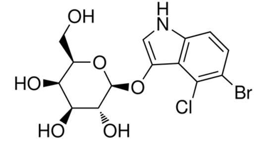 X-Gal (5-Bromo-4-chloro-3-indolyl-beta-D-galactopyranoside)