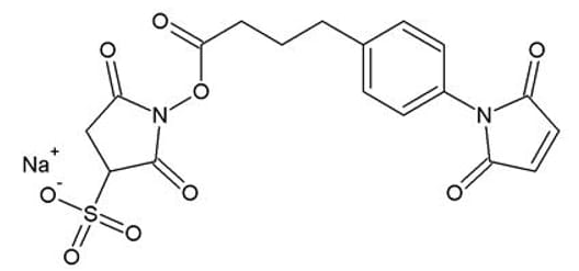 Sulfo SMPB (Sulfo succinimidyl 4-(p-maleimidophenyl) Butyrate)