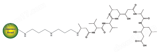 Immobilized Pepstatin 固定化胃蛋白酶抑制素