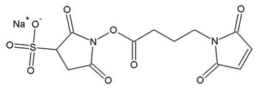 Sulfo GMBS (N-Maleimidobutyryloxysulfosuccinimide ester)