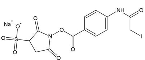 Sulfo SIAB (N-(Sulfosuccinimidyl(4-iodoacetyl)Aminobenzoate))