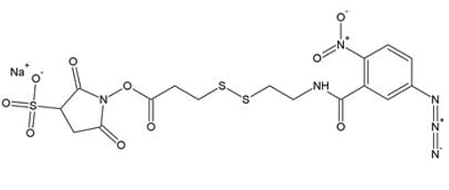 Sulfo SASD Sulfosuccinimidyl-2-(p-azidosalicylamido)ethyl-1,3-dithiopropionate