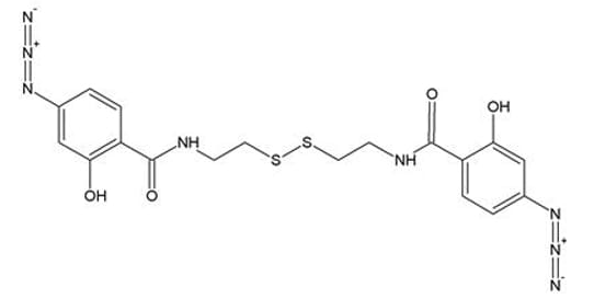 BASED (Bis (β-[4-azidosalicylamido-ethyl) disulfide)