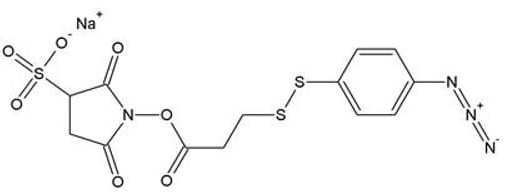 磺基SADP(磺基琥珀酰亚胺基(4-叠氮苯基)-1，3二硫代丙酸酯)