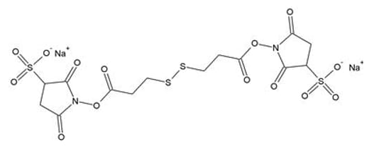 DTSSP (3,3'-Dithiobis(sulfosuccinimidyl Propionate))