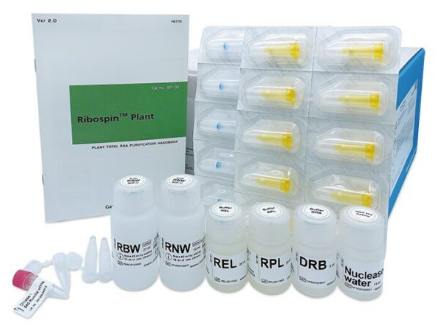 Ribospin Plant (RNA isolation) 试剂盒