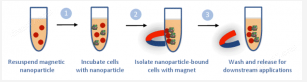 MyQu™ 520nm – 640nm emission -streptavidin conjugate