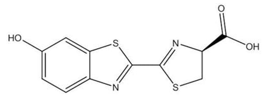 D-Luciferin Firefly, FREE ACID