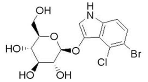 酶底物（5-Bromo-4-chloro-3-indoxyl-beta-D-glucopyranoside)