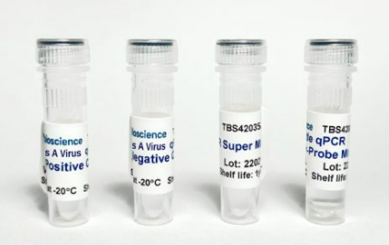 Hepatitis A Virus (HAV) One-step RT-qPCR Detection