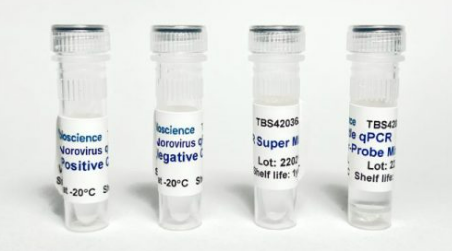 Norovirus (NOV) One-step RT-qPCR Detection