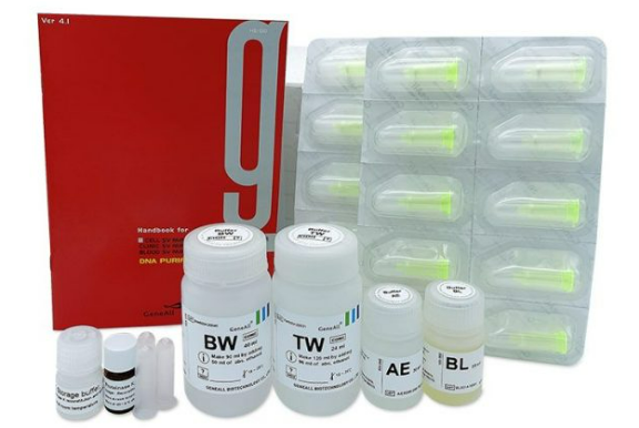 Exgene Blood SV (Blood DNA isolation), Maxi