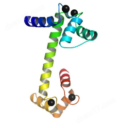 Calmodulin Resin钙调素树脂