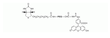 Biotin PEG Fiuorescein, Biotin-PEG-FITC