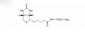 Biotin-PEG-NH2, Biotin PEG amine