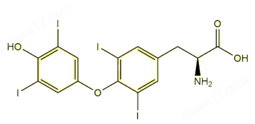 Immobilized L-Thyroxine(固定L-甲状腺素)